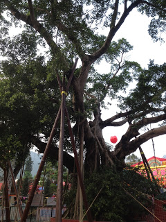 香港 2013 許願節 林村許願樹
