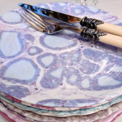 Hey！想試試看在睪丸組織圖案的瓷盤上用餐嗎？