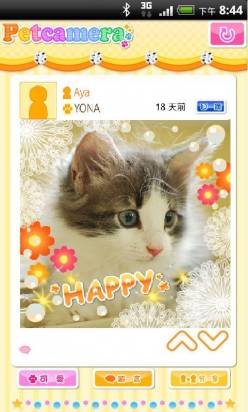 [有寵人士必看] 來自日本的寵物專用照相軟體Petcamera