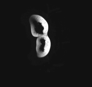令人胃抽慉的 MRI（核磁共振造影）蔬果攝影