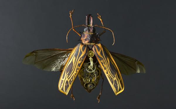 模擬未來機械生物體的昆蟲創作