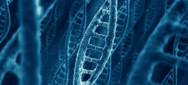 含金屬 / 金屬氧化物奈米級分子可能對人體 DNA 造成嚴重傷害