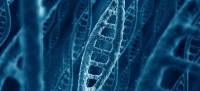 含金屬 金屬氧化物奈米級分子可能對人體 DNA 造成嚴重傷害