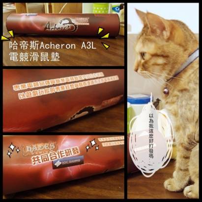 [分享][鼠墊開箱]貓奴的困擾就交給Acheron A3L來解決!