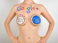 Google+ 前百大揭曉 得獎的是...