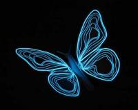[好物] 冷冷藍光蝶，好迷幻～