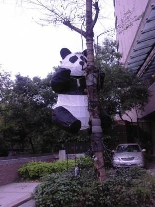 功夫熊貓 在台北