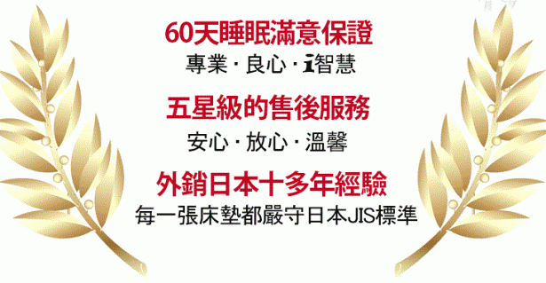 【睡眠達人SL3402】國家專利,獨立筒床墊,護背型系統,記憶綿,Q軟適中,標準雙人,MIT (送USB保暖毯)