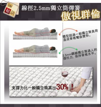 [睡眠達人-SL6103]國家專利,2.5mm強力獨立筒床墊+超彈力綿,標準雙人,MIT(送USB保暖毯)