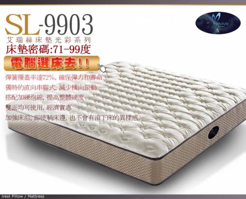 [睡眠達人SL9903]國家專利,彈簧床墊,強力支撐,適合體型較大者,特大雙人,MIT(送USB保暖毯)