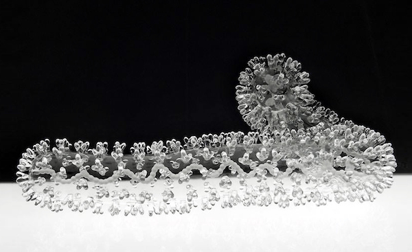 病毒與細菌也能超級美！Luke Jerram的精緻玻璃雕塑作品