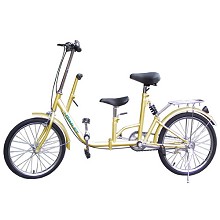 Gimlet 20吋折疊式親子腳踏車(香檳金)
