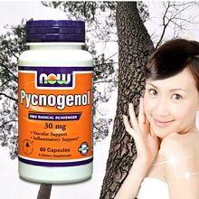 《NOW》Pycnogenol®-專利法國松樹皮(60顆/瓶)