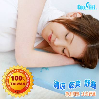 CooFeel 台灣製造高級酷涼紗多用途高密度記憶腰靠枕