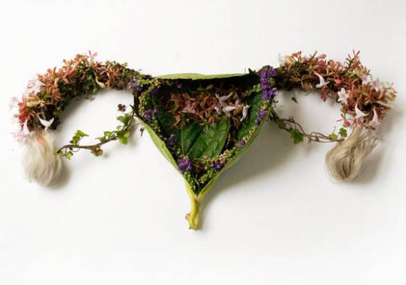 用藤蔓花卉呈現出人體器官的美麗樣貌