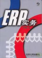 ERP實務（附贈光盤）