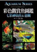 彩色觀賞魚圖鑑-七彩神仙魚 慈鯛