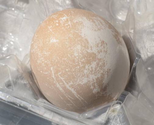 盒裝蛋棕變白事件更進一步發展，廠商將蛋取回送去檢查並說明所認知情況，也順帶解釋為何有抗生素雞蛋運送污染的問題