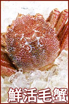 鮮活紅毛蟹(600~800g/隻)