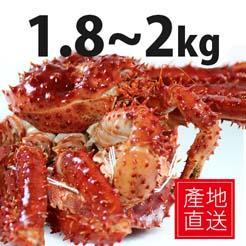 【尋鮮本舖】產地直送の頂級熟凍帝王蟹。1.8~2kg/隻