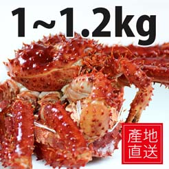 【尋鮮本舖】產地直送の頂級熟凍帝王蟹。1~1.2kg/隻