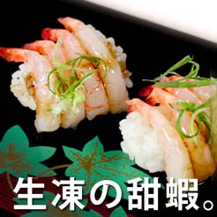 【尋鮮本舖】生凍生食等級の甜蝦。160g/盒