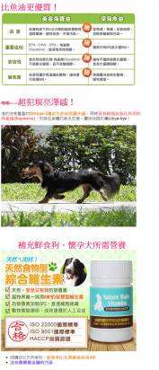 【保健優惠】鮮食狗、懷孕犬營養補充　百益康《黃金海寶油+食物型維生素》