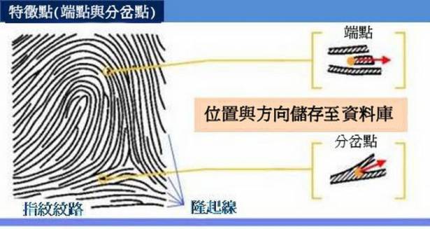 淺談指紋辨識原理：指紋辨識安全性？電容式、光學式技術差異