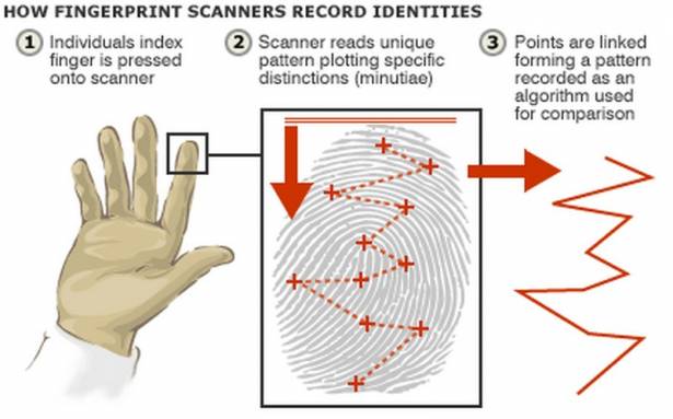 淺談指紋辨識原理：指紋辨識安全性？電容式、光學式技術差異