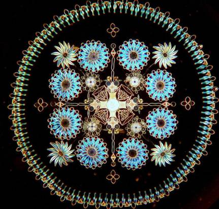 顯微鏡下的絕美畫面，以單細胞矽藻排列的視覺藝術！