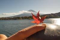 [旅遊攝影王] 拍出令人驚歎的富士山景！（河口湖篇 空拍篇）