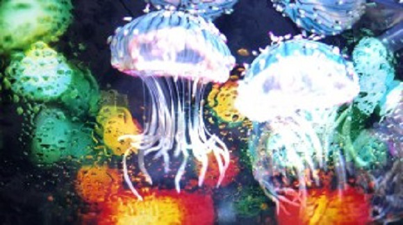 在墨田水族館遇到蜷川實花，超美的水母萬花筒隧道