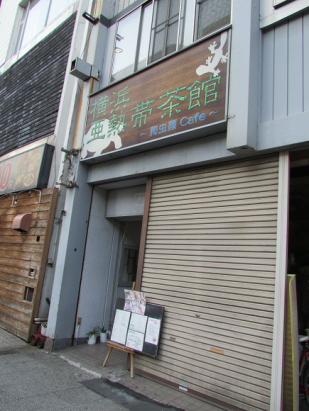 冷血動物控必去！日本橫濱爬行動物咖啡廳
