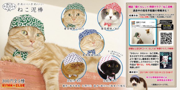 自動販賣機大國：日本，現正推出貓咪壞蛋頭巾