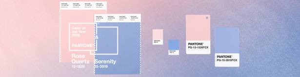 Pantone 2016 年度色，今年有兩色「玫瑰石英粉紅」、「寧靜粉藍」