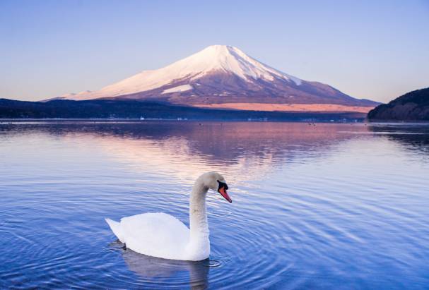 將富士山光影的千變萬化納入掌心！富士山杯成全了酒鬼的浪漫～