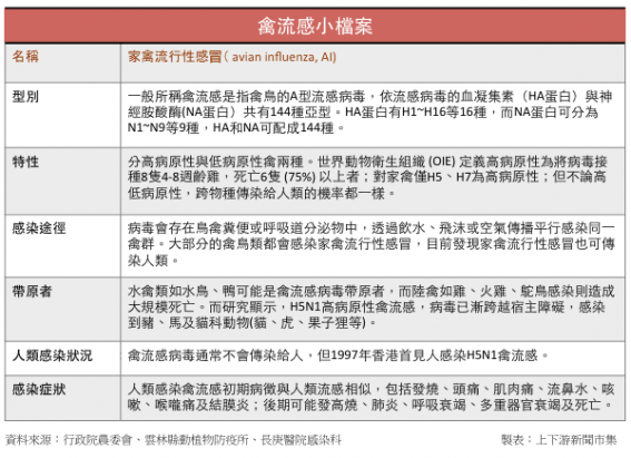 機率罕見 全球史上首例！台灣出現H6N1人類感染病例