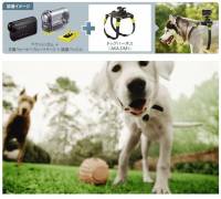 讓你可以用狗狗的觀點看世界，Sony AKA-DM1攝影用配件